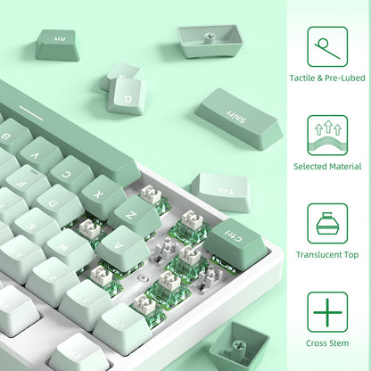 ATTACK SHARK V3 Switch Set (100 Pieces)