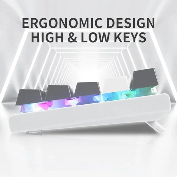 E-YOOSO Z-11 Gaming Keyboard with Blue Switches, RGB LED Backlit, 61 Keys Mini Portable Gaming Keyboard (White Grey)