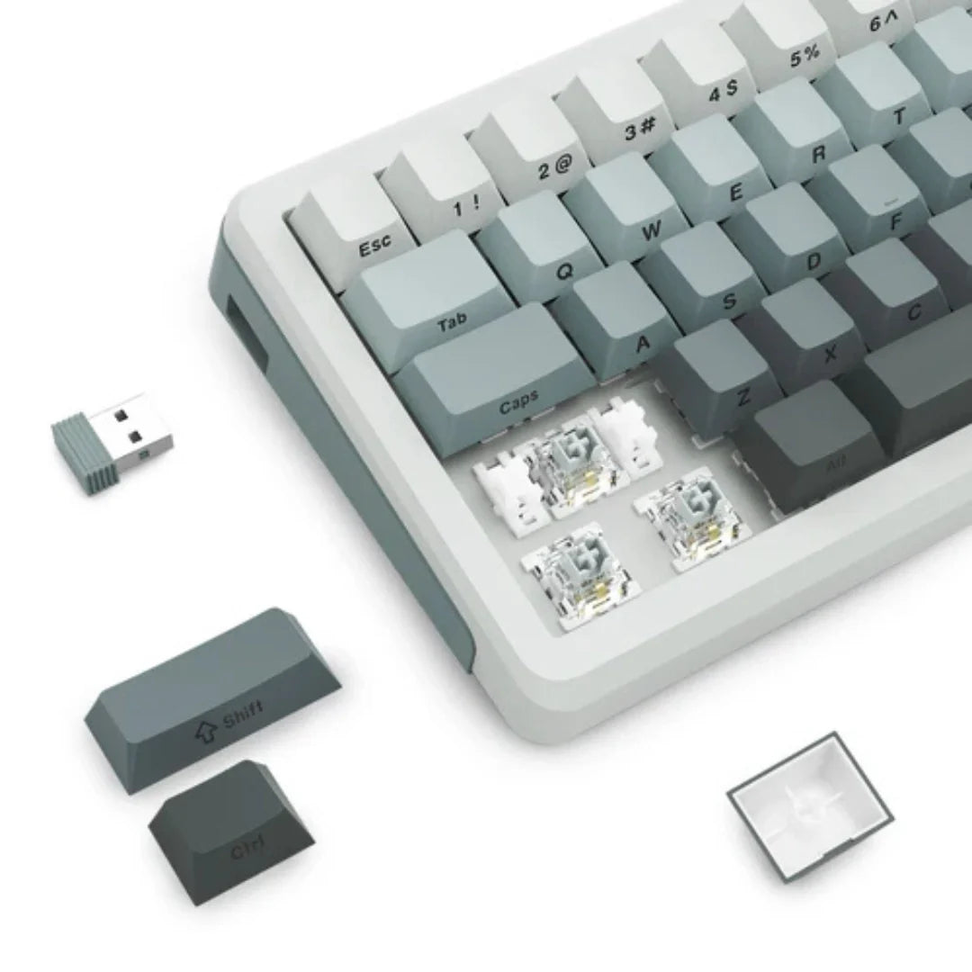 E-YOOSO Z-68 Gradient Gray Tri-Mode Mechanical Keyboard With Silverwood Switches