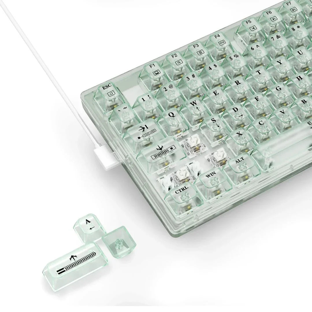 EYOOSO Z94 94-Key Transparent Mechanical Gaming Keyboard
