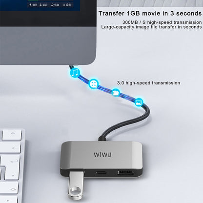 Wiwu 3 in 1 (C2H) Type-C Hub